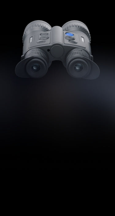 PiP (Picture in Picture) multispectral mode bg