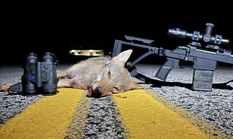 Dead coyote with thermal binoculars and rifle