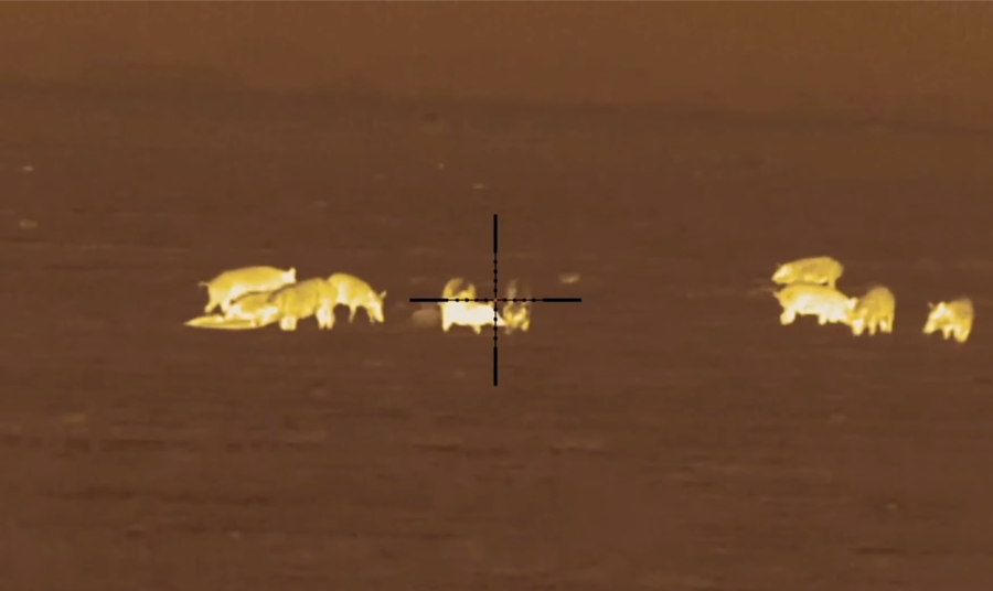 Understanding the Difference Between Night Vision and Thermal
