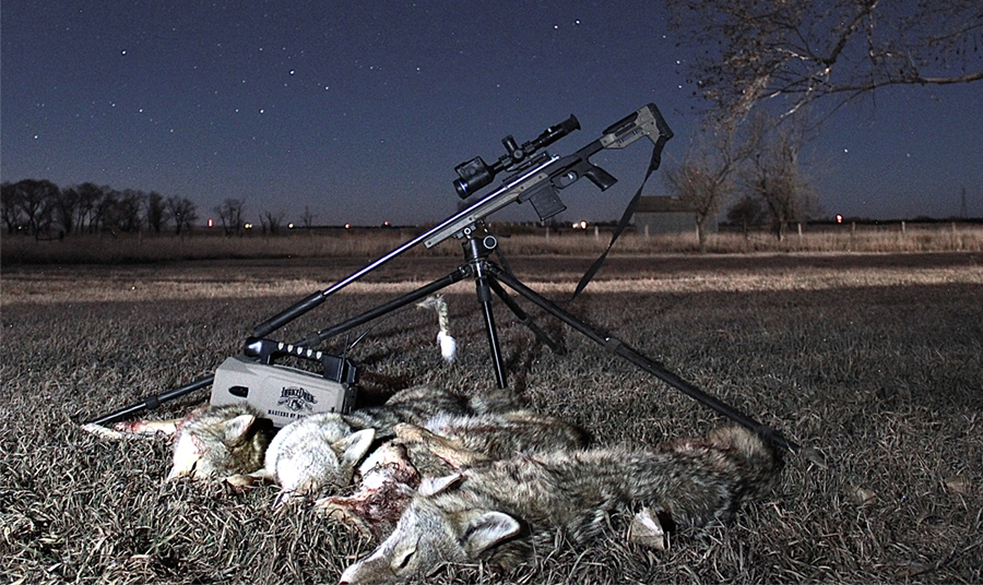 Coyote corpses with a rifle on a tripod