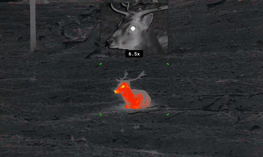 Thermal Vision: The Ultimate Guide to Seeing in Complete Darkness