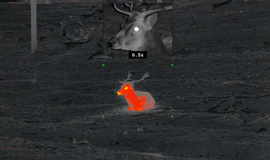 Thermal Vision: The Ultimate Guide to Seeing in Complete Darkness