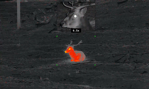 Thermal Vision: The Ultimate Guide to Seeing in Complete Darkness
