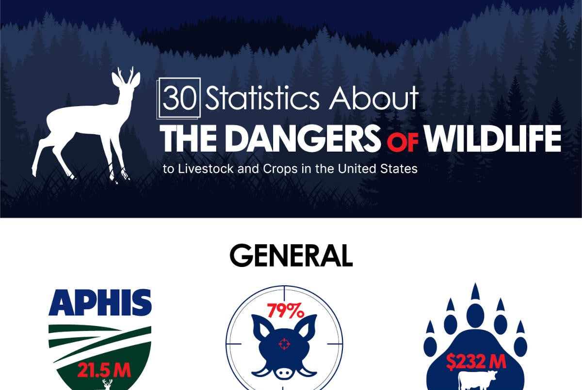 30 Statistics About the Dangers of Wildlife to Livestock and Crops in the United States