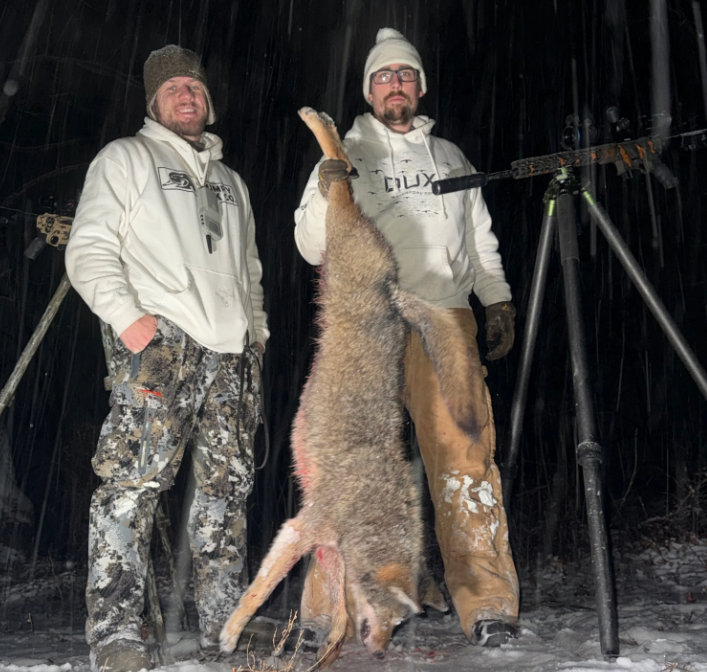 Midnight Coyote Hunt: In a Snow Storm