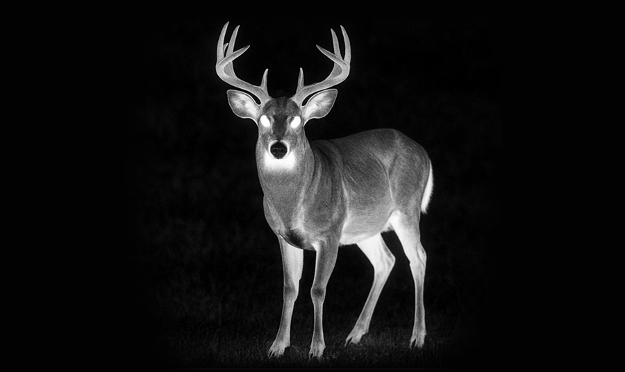 Is It Illegal to Hunt Deer with a Thermal Scope