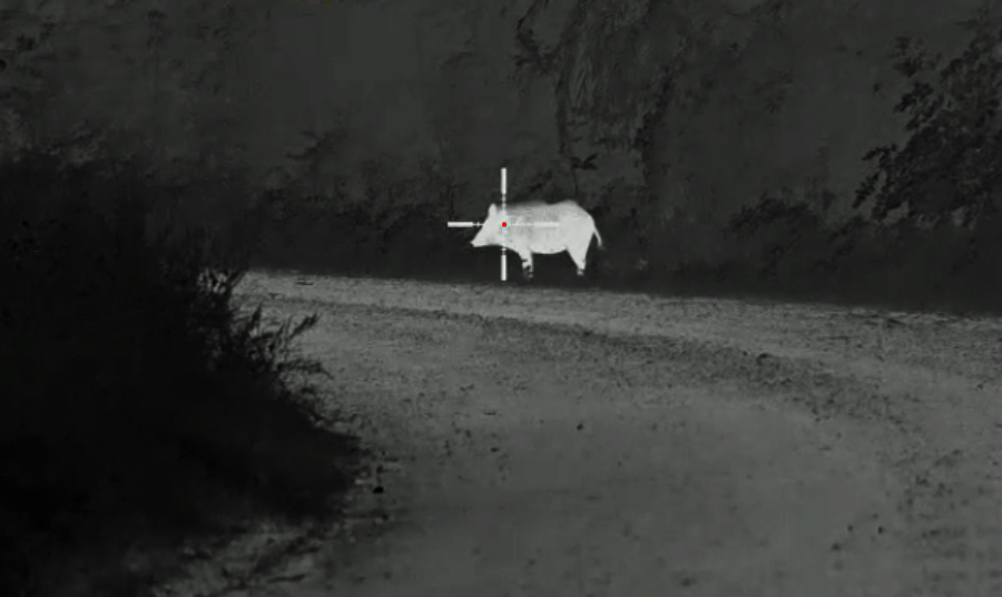 Detecting and Identifying Game Animals with Thermal Vision