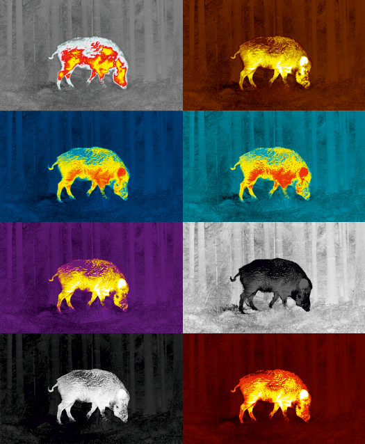 Understanding Thermal Image Palettes