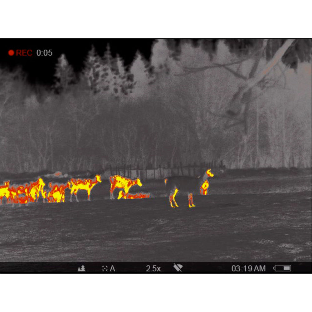 Pulsar Accolade 2 LRF XP50 Pro Thermal Binocular