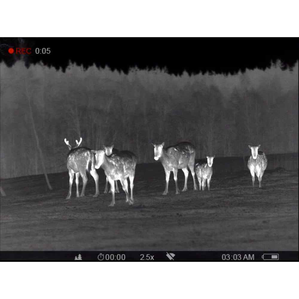 Pulsar Accolade 2 LRF XP50 Pro Thermal Binocular