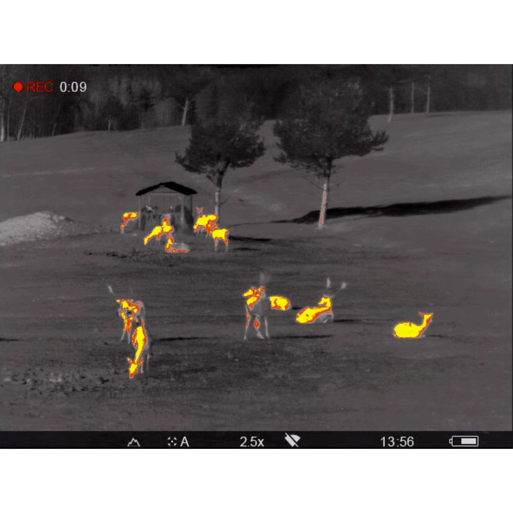 Pulsar Accolade 2 LRF XP50 Pro Thermal Binocular
