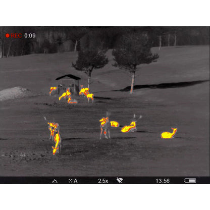 Pulsar Accolade 2 LRF XP50 Pro Thermal Binocular