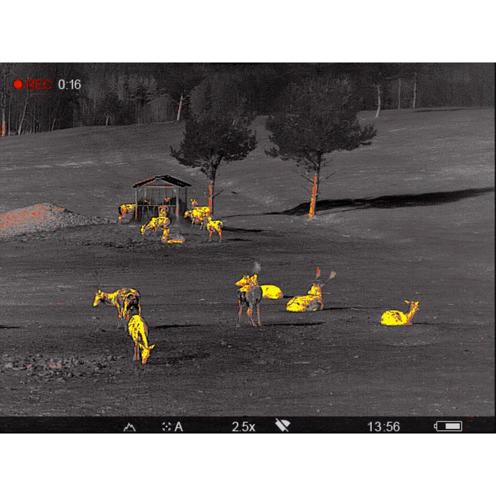 Pulsar Accolade 2 LRF XP50 Pro Thermal Binocular