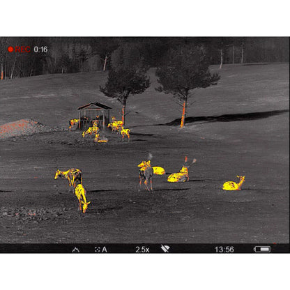 Pulsar Accolade 2 LRF XP50 Pro Thermal Binocular