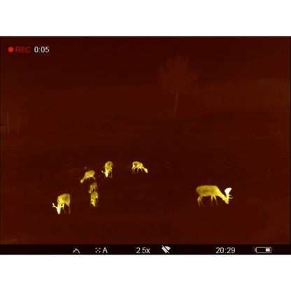 Pulsar Accolade 2 LRF XP50 Pro Thermal Binocular